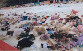 Teddy Bear Toss at the Vancouver Giants Ice Hockey game