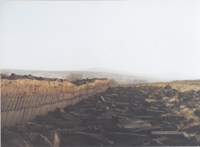 A very long deep turf bank