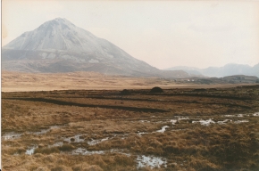 View over an expansive area of bog towards mount Errigal