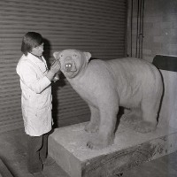 Bob davey who now paints under the name Hamilton Sloan working on Peter the Polar Bear in the Ulster Museum in nineteen seventy three