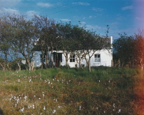 Hamilton Sloan studio and cottage between gweedore and bunbeg showing bog cotton