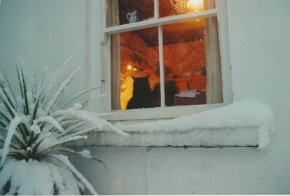 Hamilton Sloans cat looking out the cottage window at the snow during winter county Donegal